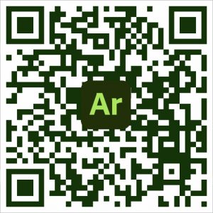 microverse 2020 Ar QR code